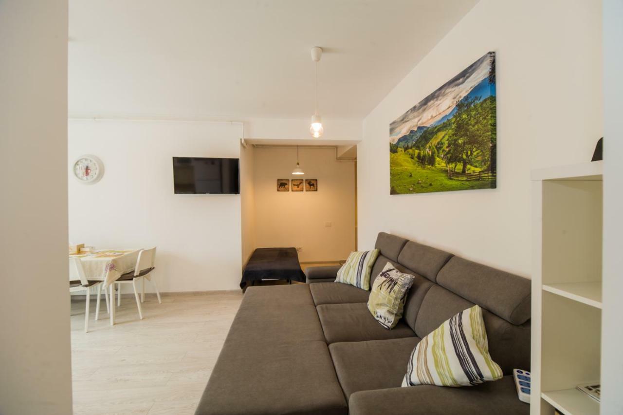 Schiller Apartment 57 - Free Private Parking Braşov Buitenkant foto